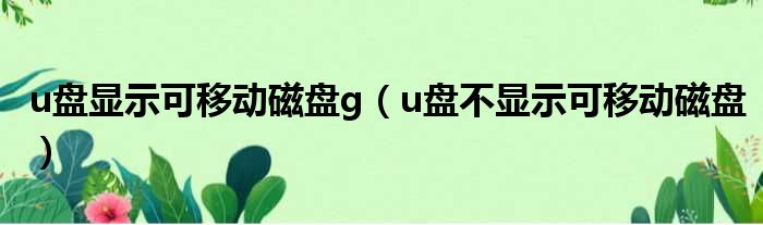 u盘显示可移动磁盘g（u盘不显示可移动磁盘）