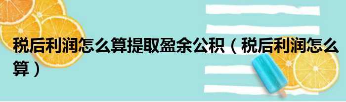 税后利润怎么算提取盈余公积（税后利润怎么算）