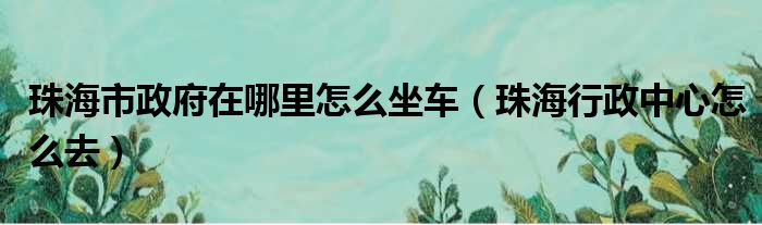 珠海市政府在哪里怎么坐车（珠海行政中心怎么去）