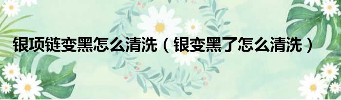 银项链变黑怎么清洗（银变黑了怎么清洗）