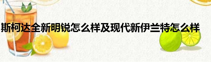 斯柯达全新明锐怎么样及现代新伊兰特怎么样