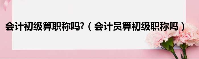 会计初级算职称吗?（会计员算初级职称吗）