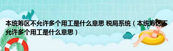 本统筹区不允许多个用工是什么意思 税局系统（本统筹区不允许多个用工是什么意思）