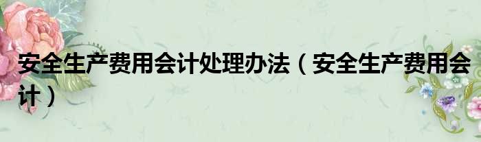 安全生产费用会计处理办法（安全生产费用会计）
