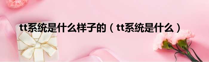 tt系统是什么样子的（tt系统是什么）