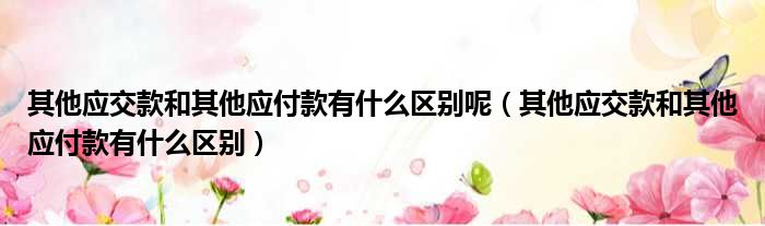 其他应交款和其他应付款有什么区别呢（其他应交款和其他应付款有什么区别）