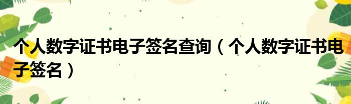 个人数字证书电子签名查询（个人数字证书电子签名）