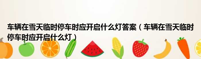 车辆在雪天临时停车时应开启什么灯答案（车辆在雪天临时停车时应开启什么灯）