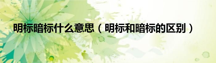 明标暗标什么意思（明标和暗标的区别）
