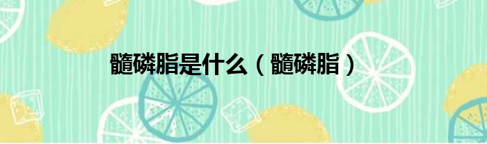 髓磷脂是什么（髓磷脂）