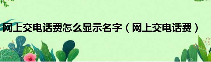 网上交电话费怎么显示名字（网上交电话费）