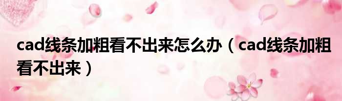 cad线条加粗看不出来怎么办（cad线条加粗看不出来）