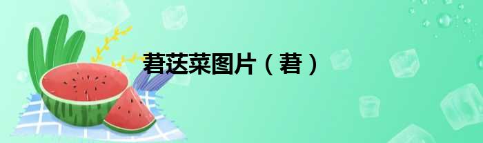 莙荙菜图片（莙）