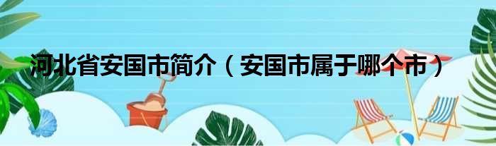 河北省安国市简介（安国市属于哪个市）