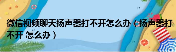 微信视频聊天扬声器打不开怎么办（扬声器打不开 怎么办）