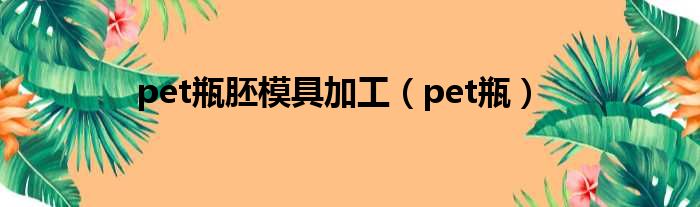 pet瓶胚模具加工（pet瓶）