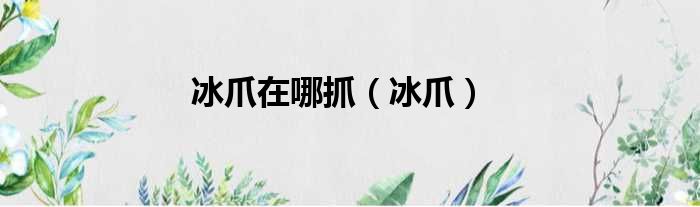 冰爪在哪抓（冰爪）