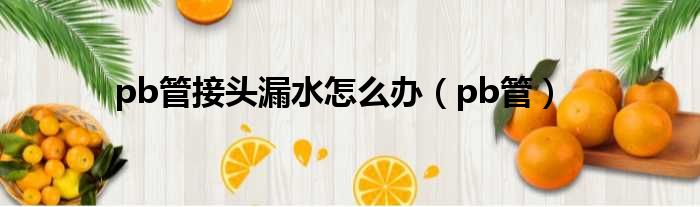 pb管接头漏水怎么办（pb管）