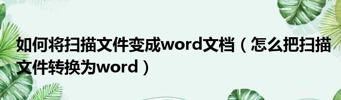 如何将扫描文件变成word文档（怎么把扫描文件转换为word）