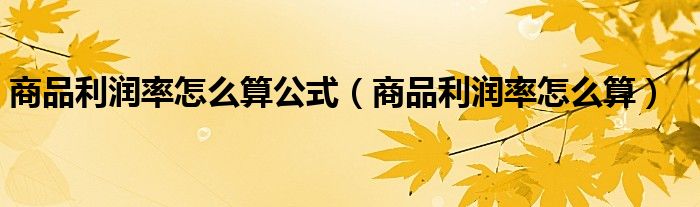 商品利润率怎么算公式（商品利润率怎么算）