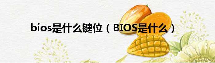 bios是什么键位（BIOS是什么）