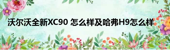沃尔沃全新XC90 怎么样及哈弗H9怎么样