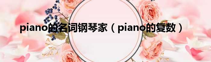 piano的名词钢琴家（piano的复数）