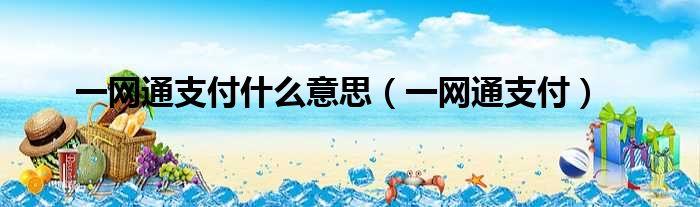 一网通支付什么意思（一网通支付）