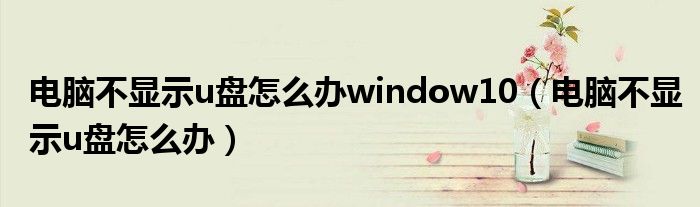 电脑不显示u盘怎么办window10（电脑不显示u盘怎么办）