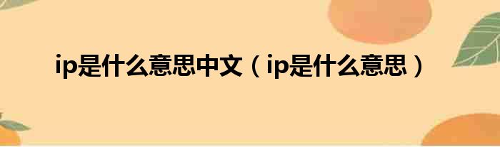 ip是什么意思中文（ip是什么意思）