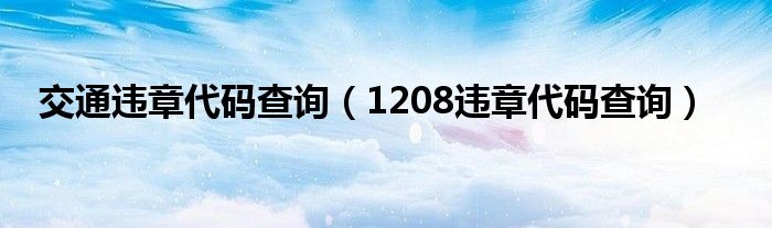 交通违章代码查询（1208违章代码查询）
