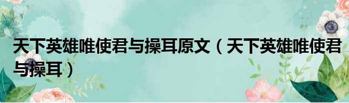 天下英雄唯使君与操耳原文（天下英雄唯使君与操耳）