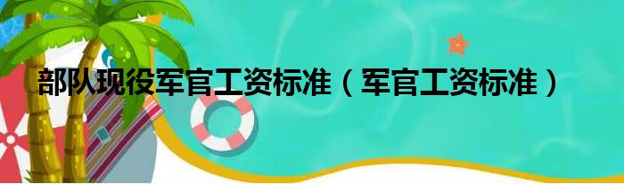 部队现役军官工资标准（军官工资标准）