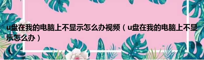 u盘在我的电脑上不显示怎么办视频（u盘在我的电脑上不显示怎么办）