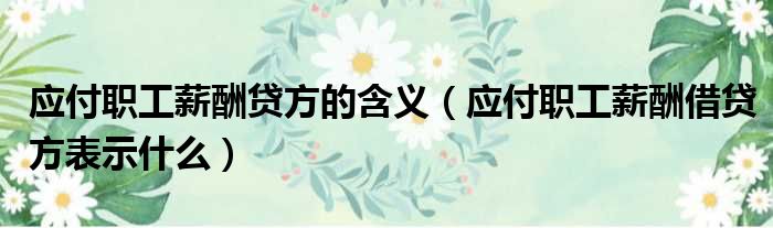 应付职工薪酬贷方的含义（应付职工薪酬借贷方表示什么）