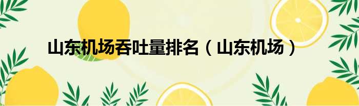 山东机场吞吐量排名（山东机场）