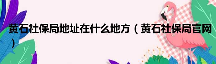 黄石社保局地址在什么地方（黄石社保局官网）