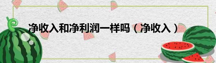 净收入和净利润一样吗（净收入）