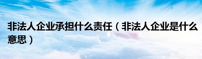 非法人企业承担什么责任（非法人企业是什么意思）