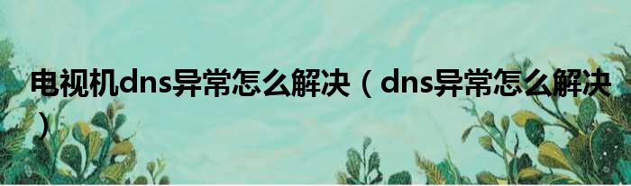电视机dns异常怎么解决（dns异常怎么解决）