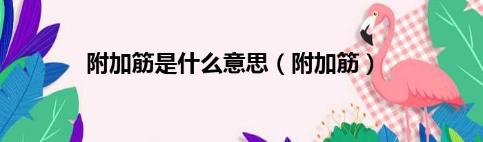 附加筋是什么意思（附加筋）