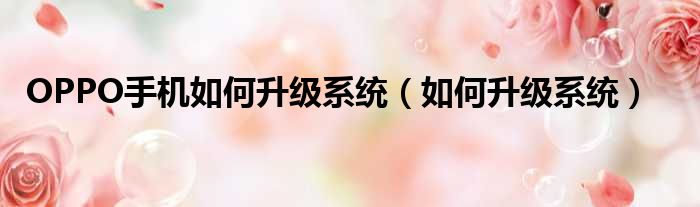 OPPO手机如何升级系统（如何升级系统）