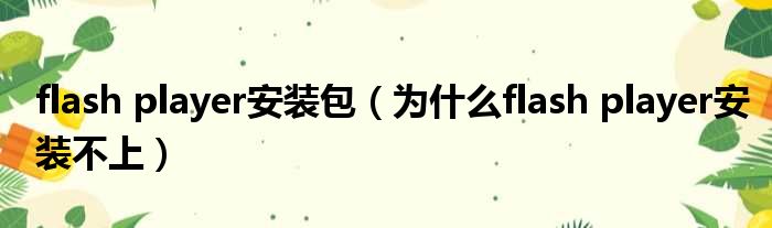 flash player安装包（为什么flash player安装不上）