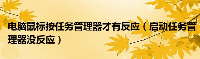 电脑鼠标按任务管理器才有反应（启动任务管理器没反应）