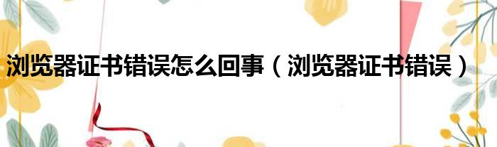 浏览器证书错误怎么回事（浏览器证书错误）