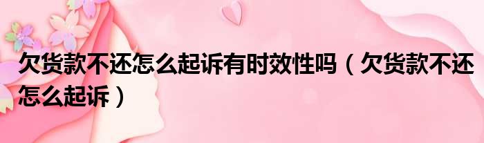 欠货款不还怎么起诉有时效性吗（欠货款不还怎么起诉）