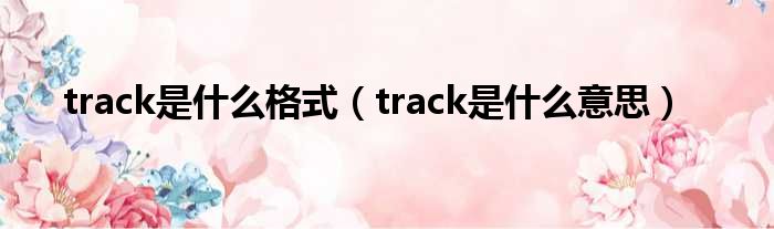 track是什么格式（track是什么意思）