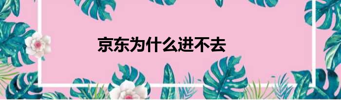 京东为什么进不去