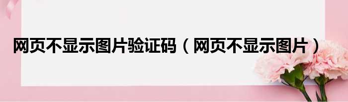 网页不显示图片验证码（网页不显示图片）