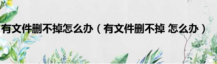 有文件删不掉怎么办（有文件删不掉 怎么办）